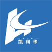 山東凱利華建工集團有限公司